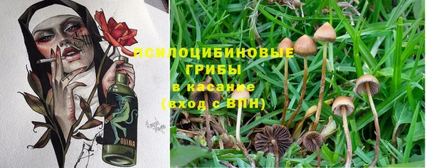 твердый Горнозаводск
