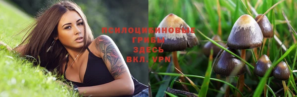 эйфоретик Горно-Алтайск
