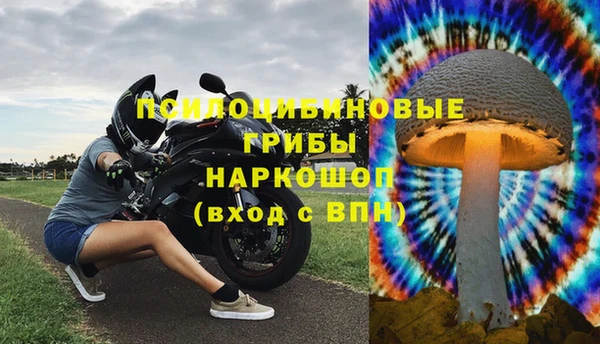 твердый Горнозаводск