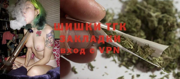 твердый Горнозаводск