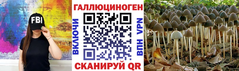 Псилоцибиновые грибы Magic Shrooms  где продают   Дмитровск 